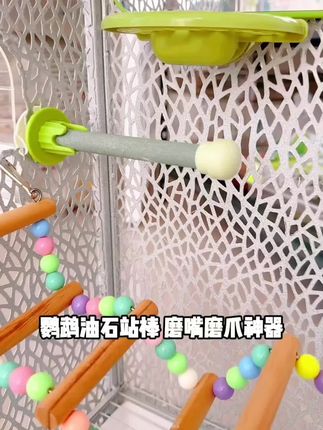 鹦鹉油石站棒#鹦鹉日常 #好物推荐分享 #强烈推荐 #快来看看 #鹦鹉鹦鹉萌萌哒逗鹦鹉 @DOU+小助手