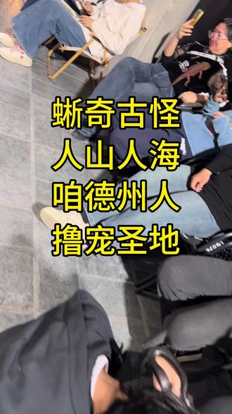 蜥奇古怪异宠体验馆!咱老百姓撸的起的爬宠圣地!#异宠#爬宠