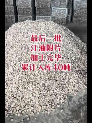江油附子抢收抢制大会战终于要告一段落了#江油附子#倪海厦#李可#张仲景#炮附子