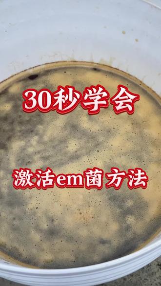 30秒学会,激活em菌方法。#em菌#em菌种 #em菌发酵 #em菌液