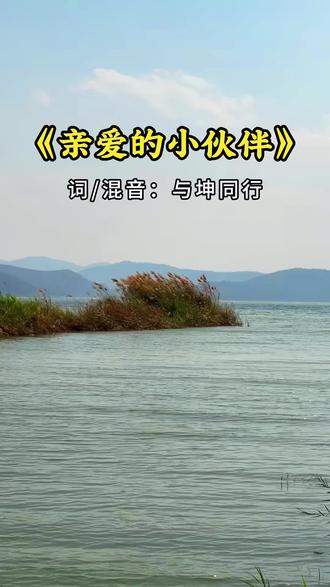 《亲爱的小伙伴》#有空再回来