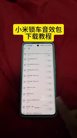 《一件好事》小米锁车音效包获取教程了,小米锁车音效如何使用,小米锁车音效如何设置,小米锁车音效在哪里下载,小米汽车自定义音效切换音效模式 #小米锁车音效 #小米汽车自定义音效 #小米su7 #我和我的小米su7 #小米汽车音效