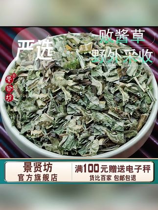 败酱草黄花败酱草茶新鲜非粉野生败酱草干货可打粉#败酱草 #败酱草干
