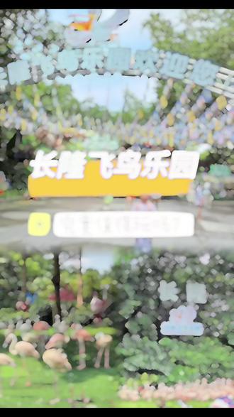 飞鸟乐园超全攻略,一篇就够
✅要不要去
飞鸟乐园不大,相对冷门,人少。园区特色是百鸟飞鸽表演(可看单独笔记视频)+喂动物。
⚠️结论:如果很喜欢鸟类,或者附近城市此类乐园较少,还是很建议去的,如果每个互动都参与,能玩上小一天。但如果对鸟类一般,留个半天肯定是足够足够的,鸟类的园区我们一年要去上好几次,喂动物更是经常,孩子兴趣点实在不高,2个小时我们就走了,这个园我们也不会再去第二次
✅攻略来喽:
📍位置:飞鸟乐园离其他园区相对较远,熊猫酒店开过去要17分钟(有直通大巴)
⏰营业时间:9:30-18:00
🅿️停车:乐园只有一个门,门口就是停车场,18元封顶,酒店住宿免费停车
✅游玩路线(进门从右手边出发)
红鹮广场➡️火烈鸟岛➡️湿地精灵
➡️荒漠居民➡️动物园幼儿园➡️乘船探索秘密➡️尼罗河谷➡️鹈鹕之家➡️鹦鹉乐园➡️河马空间➡️鳄鱼岛➡️百鸟飞歌➡️鸟类探索➡️飞禽密码➡️飞鸟奇域➡️仙鹤湾➡️夜行馆
✅收费情况:
1⃣火烈鸟保育员:100元/次(1大1小进)探索秘境-乘船喂鹈鹕:船费30元/位,小鱼10元/份(大小同价,一圈15分钟)
2⃣动物幼儿园-喂各种小动物:10元/份
3⃣鹦鹉乐园-喂鹦鹉:瓜子10元/份
巨嘴鸟合影20/次(需要家长自己拍照)
4⃣河马空间-河马投喂:胡萝卜10元/ 包,南瓜50元/个,南瓜投喂的位置较近
✅游玩小Tips:
1️⃣飞鸟乐园很容易碰到春游大军,因为园区小,碰到就是演出全场都是学生呀~
2️⃣百鸟飞歌需要提前占座,我们当时去都坐满了,都是学生(崩溃),不过中间座位还是挤出来座位让我们坐😂,不一定坐中间位置,因为鸟都是从一头飞到另一头再飞回去,在哪都一样
2️⃣园区蚊子超多,一定带好防蚊喷剂
3️⃣可以自带水和干粮零食
4⃣飞鸟乐园的春游大部队真是太可怕了,本来园区小,就显得格外多,他们一般工作日去,所以建议工作日去其他大园,周末来这个园
#广州长隆 #长隆野生动物园 #长隆飞鸟乐园游玩攻略 #长隆欢乐世界 #广州亲子游