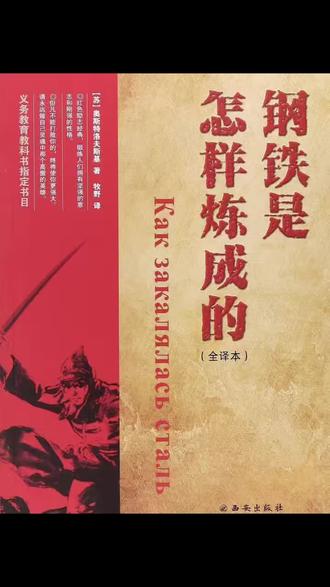 说说《钢铁是怎样炼成的》