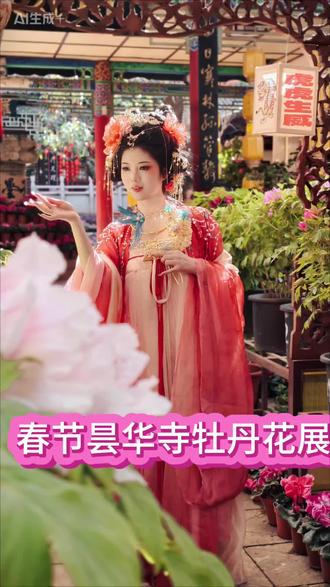 “富贵吉祥”的“国花”牡丹共庆新春佳节!“花漾昙华˙马驮福至”第十五届昙华寺牡丹花展暨花潮会花展时间:2026年2月10日——3月9日丹#春节 #牡丹 #昆明 #春节去哪玩 #鲜花