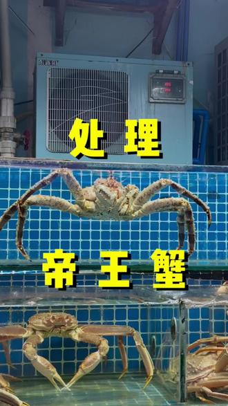 帝王蟹一蟹三吃#帝王蟹 #帝王蟹做法