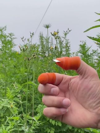 小巧指掐器,省力高效,轻松处理厨房琐碎食材#指掐器 #厨房好物 #抖音小助手dou上热门
