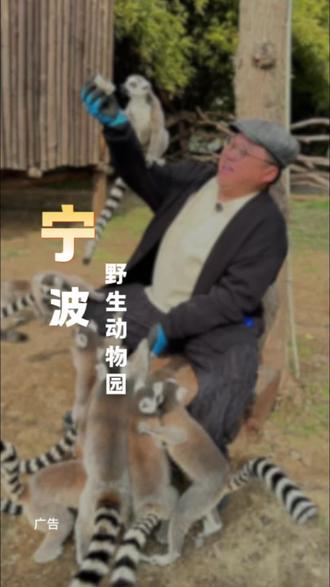 一条视频告诉你!这个春节假期宁波野生动物园到底怎么玩#宁波旅游#宁波野生动物园 #亲子游玩好去#春节去哪玩 #江浙沪周边游