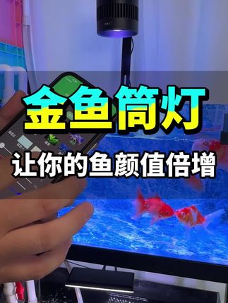推荐给养兰寿泰狮各种金鱼的哥们一款专业的性价比筒灯,功能齐全亮度高,暴藻显色都没问题#轻松养鱼 #鱼缸灯 #养鱼日记 #观赏鱼