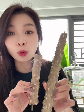 #养鸟 #鸟用品