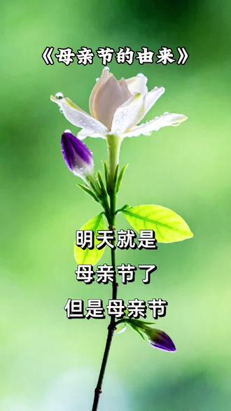 母亲节的由来丨#母亲节#情感共鸣