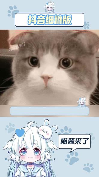 抖音的细糠版本着实让我有点意外#抖音精选 #抖音细糠版 #知识科普 #涨知识