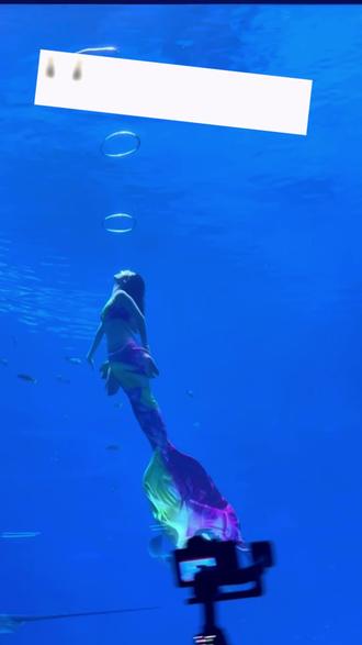 在商品城赛博街必打卡!🛍️美人鱼表演我能看一百遍
#普宁国际商品城 #美人鱼 #美人鱼表演 #普宁