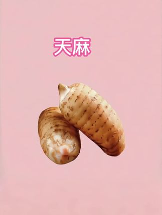 新鲜天麻煲汤炖肉汤鲜味美#营养丰富 #滋补养生 #优质农产品