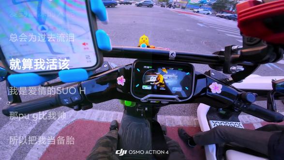 分手就分手 谁后悔谁就是狗 汪汪#第一视角 #小牛 #大疆action4