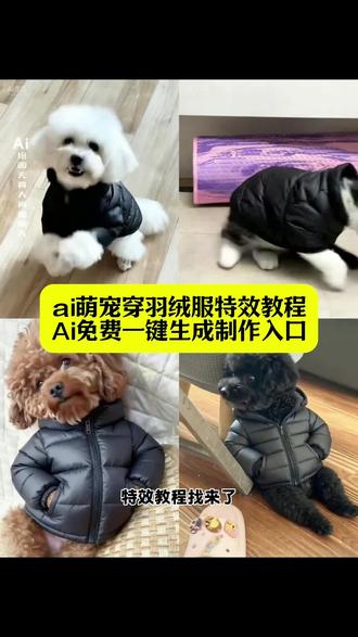 AI萌宠一键穿羽绒服 天冷了你要记得穿羽绒服 萌宠穿羽绒服教程 萌宠穿衣的视频制作方法 ai萌宠穿羽绒服 小狗羽绒服 ai萌宠一键穿羽绒服 宠物狗保暖外套 萌宠一键穿羽绒服特效生成入口 萌宠一键穿羽绒服ai特效 萌宠一键穿羽绒服特效 萌宠一键穿羽绒服制作特效 萌宠一键穿羽绒服特效制作 萌宠一键穿羽绒服制作教程 萌宠一键穿羽绒服ai教程 萌宠一键穿羽绒服ai指令 萌宠一键穿羽绒服ai生成方法 萌宠一键穿羽绒服ai特效教程 萌宠一键穿羽绒服特效制作教程 萌宠一键穿羽绒服指令 萌宠一键穿羽绒服口令 萌宠一键穿羽绒服制作口令 萌宠一键穿羽绒服特效口令 萌宠一键穿羽绒服ai生成指令 萌宠一键穿羽绒服免费制作教程 萌宠一键穿羽绒服免费制作入口 萌宠一键穿羽绒服免费制作方法 萌宠一键穿羽绒服制作入口 萌宠一键穿羽绒服ai一键生成 萌宠一键穿羽绒服ai制作方法 萌宠一键穿羽绒服特效入口 萌宠一键穿羽绒服特效指令 萌宠一键穿羽绒服特效入口 萌宠一键穿羽绒服生成方法 萌宠一键穿羽绒服教程入口 萌宠一键穿羽绒服一键剪同款 毛孩子冬季保暖穿搭 萌宠羊羔绒保暖衣 AI宠物穿衣特效 即梦AI萌宠变装 萌宠保暖外套教程 宠物冬季穿搭教程 萌宠AI特效免费用 萌宠一键变装教程 小狗冬季保暖穿搭 即梦AI宠物特效入口 #天冷了你要记得穿羽绒服 #即梦ai #小狗羽绒服 #ai萌宠一键穿羽绒服 萌宠一键穿羽绒服口令 #毛孩子过冬 宠物冬季保暖 萌宠AI变装