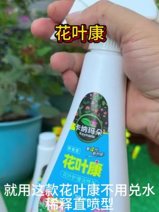 #上热门话题🔥🔥🔥 #卡纳玛朵即喷型花叶康花叶护理活性剂 #16.8元
