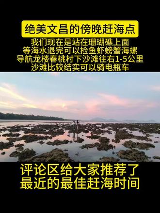 绝美文昌的傍晚赶海点,我们现在是站在珊瑚礁上面等海水退完可以捡鱼虾螃蟹海螺导航龙楼春桃村下沙滩往右1-5公里沙滩比较结实可以骑电瓶车#文昌赶海 #龙楼赶海 #文昌 #赶海 #赶海人