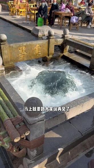 1.4米以下免票,60周岁以上免票!明水古城山东省内专享票98两个人还可以带两名1.4米以下儿童哦!#明水古城 #明水古城国际泉水旅游度假区 #清照泉城 #清照泉城明水古城 #春节心动之旅