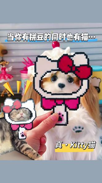 如果你有拼豆同时也有猫,那你就会得到… #拼豆 #手工 #hellokitty