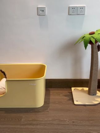 猫砂盆超大号防外溅猫厕所特大防臭开放式猫砂盆子巨大幼猫猫屎盆#猫砂盆 #新手养猫 #宠物用品 #超大猫砂盆 @巨量千川 @DOU+小助手