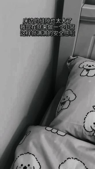 #卧室改造 #茶杯狗#茶杯犬#豆包AI生成