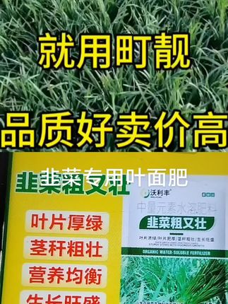 韭菜专用叶面肥 和 @天天说农业 一起 #合拍 (抖音旗舰)(韭菜粗又壮)韭菜专用叶面肥韭菜粗壮嫩绿生根壮苗水溶肥#种植小技巧 #服务三农支持三农 #抖音推荐#韭菜专用叶面肥