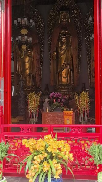 今天花了几十块钱,许了几百万的愿望,你们说会愿望成真吗?
#愿望成真 #烧香祈福 #秒乐寺