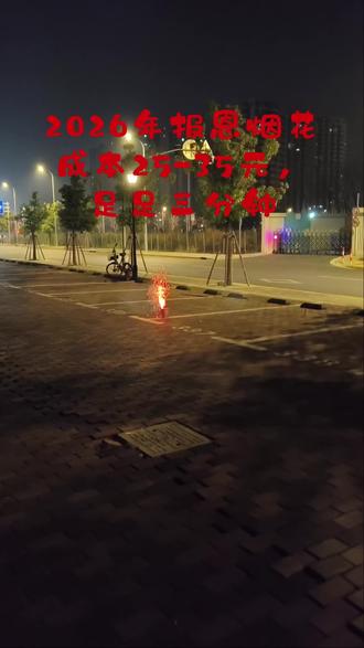 2026,我也买到报恩烟花啦!随意拍的,没想到如此惊艳,这价格我太意外了,早知道多买几个了