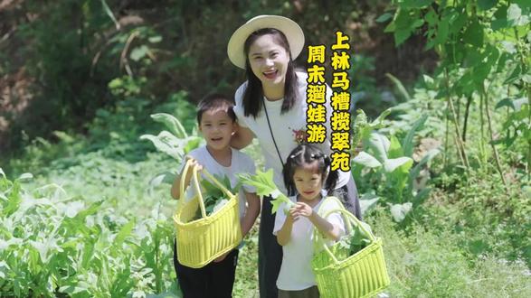 周末游推荐来上林玩,回归大自然,享受田园生活#上林 #南宁周边游#亲子游玩好去处 #广西dou是好风光