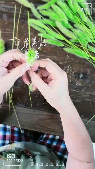 编织狗尾巴草之九尾狐