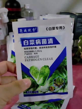 #创作灵感 白菜病菌清,护菜无病害,种植少烦心。#白菜 #三农 #种植 #好物推荐🔥 @DOU+上热门