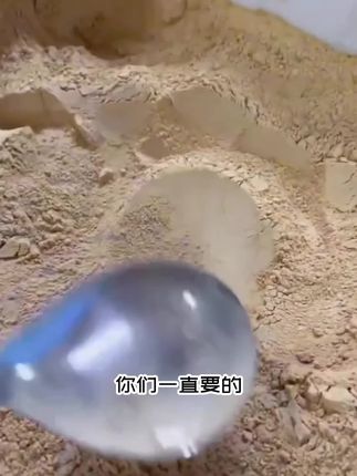 悉宝堂四宝粉,西洋参粉,丹参粉,三七粉,天麻粉,甄选原材,四合一,粉质细腻,孝敬长辈,健康之选。#四宝粉中年养生的必需品 #四宝粉 #四宝粉适合我们中老年人 #四宝粉功效