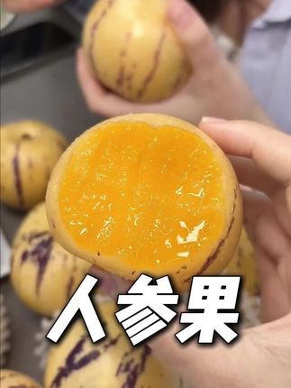 自然树熟的云南# 人参果 ,现摘现发,汁水超多~#新鲜应季水果 #优质农产品 #云南水果 #脆甜多汁