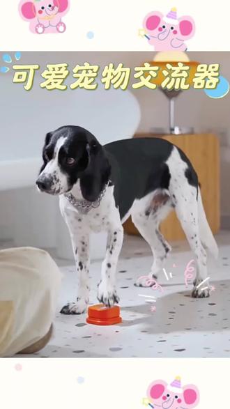 按这4个键,狗狗秒变“小话唠”