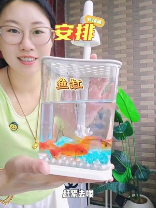 #鱼缸