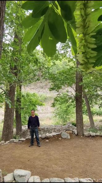 今天2026年3月21日,是首个国际太极拳日.发几段2025年日常习练太极拳的几个片段,以示纪念。
国际太极拳日由联合国教科文组织于2025年11月5日在乌兹别克斯坦撒马尔罕召开的第43届大会通过决议设立,日期为每年3月21日(北半球春分日),系联合国系统首个以武术项目命名的国际日。
#国际太极拳日#321国际太极拳日#混元太极#混元太极拳