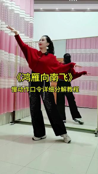 《鸿雁向南飞》慢动作口令详细分解教程#抖音广场舞#抖音小助手