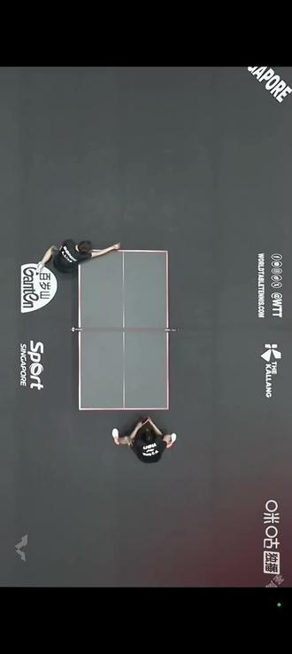 有鹰眼就是好挑战成功#乒乓球