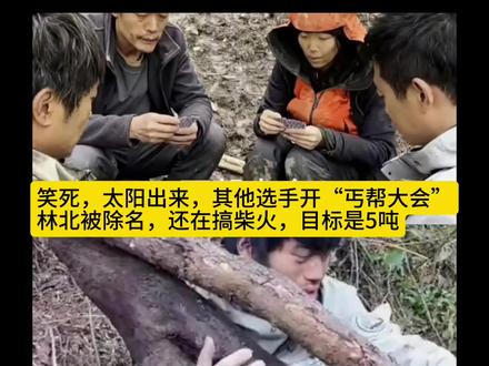 阳光下的反差萌:林北埋头劈柴独成一景