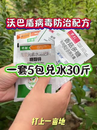 病毒病防治配方#辣椒病毒病#植物病毒病如何防治#病毒病解决方案