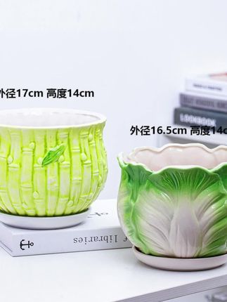花盆陶瓷包邮特大号带托盘创意个性多肉超大号手绘艺术盆清仓捡漏 #手绘陶瓷 #多肉盆栽 #我的花花世界 #多肉花盆 #陶瓷花盆