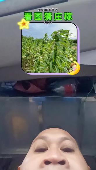 #真实生活分享官 #看图猜庄稼 #抖音推广 #每天跟我涨知识 最后一个不是玉米棒吗?