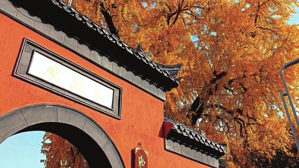 #炬焰小助手 #原创视频 #手机摄影 #旅行推荐官 #随拍
千年古刹淮安东岳庙,庄严肃穆,气势恢弘,其建筑宏伟壮丽,彰显中国古代建筑的艺术魅力,雄伟的门楼象征着军事力量和威严,令人肃然起敬;神社和祭坛充满宗教神秘感,香客络绎不绝,体现了人们对东岳神的信仰与敬仰;历史悠久,见证了中国文化的传承与发展,文化遗产丰富多彩,每个角落都流淌着浓厚的历史氛围;庭园景观精心设计,犹如仙境般美丽,祈福活动充满仪式感,香炉散发的浓郁香味更添祥和与祝福;砖雕、石刻等艺术品精湛绝伦,古代文献和铭牌记载了众多历史事件,展现了古代建筑师的智慧与才华,作为文化圣地,传承并弘扬着中华民族的优秀传统文化。