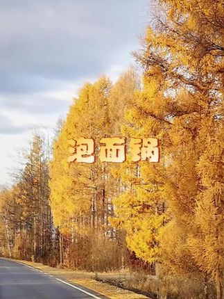 日式款雪平锅加厚泡面锅汤锅烹饪锅小煮锅不粘锅摆摊家用奶锅#泡面#烹饪#不锈钢#不粘锅#摆摊