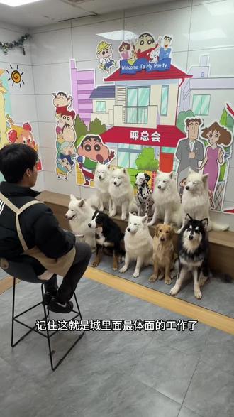 表哥 这就是你说的城里的体面工作?#福州 #福州狗咖耶总会 #抖音萌宠出道计划 #狗咖 #福州旅游