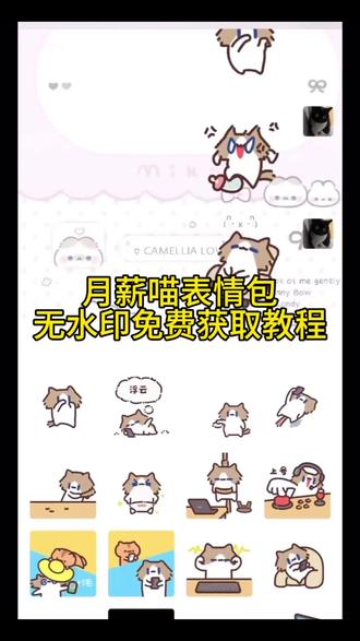 月薪喵表情包免费获取方法 月薪喵表情包免费获取教程来了 月薪喵表情包 小猫表情包 微信小猫表情包叫什么名字 超萌表情包微信关键词 小猫表情包微信怎么搜 小猫表情包 小猫捂鼻子扇空气表情包 #月薪喵表情包 #月薪喵 月薪喵跳舞 小猫捂鼻子扇空气表情包 小猫捂鼻子伤空气表情包获取教程 从#微信表情包 #我真的特别爱你 表情包 #剪映 月薪猫表情包 微信可爱表情包 可爱表情包 表情包 表情包可爱 微信表情包 表情包
