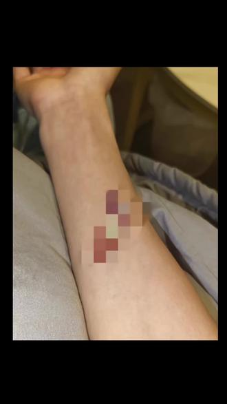 大家别上当了 #熊大熊二 #整蛊 熊二贴纸 熊大贴纸 #醒图创作者 #卡通图案手部装饰