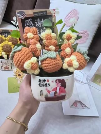 新款教师节盆栽摆件 新款教师节礼物盆栽摆件实拍显示,搭配精美礼袋还有专用贺卡!精美实用...#教师节礼物#一束不凋零的花 #小盆栽 #手工花束 #不用浇水的花